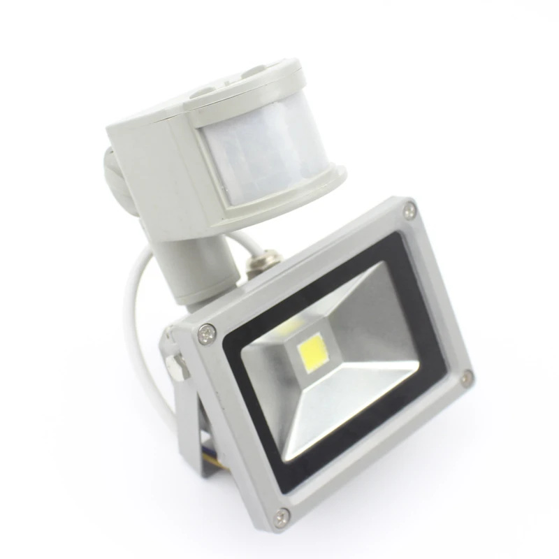 10W PIR LED Floodlight 12V Cur - Balance Beam Outdoor review and price