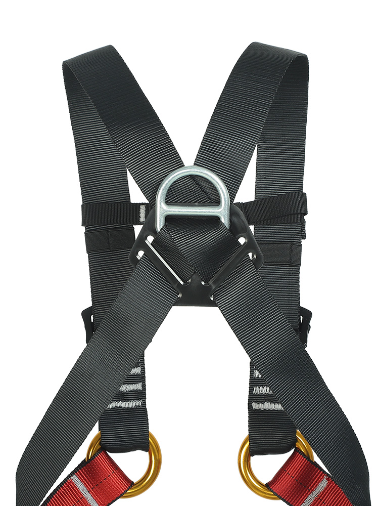Kid's Safety Belt Child Full B - Kids Outdoor Equipment review and price
